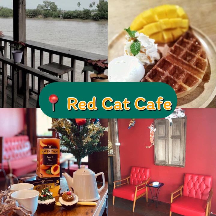Red Cat Cafe ตลาดบ้านใหม่