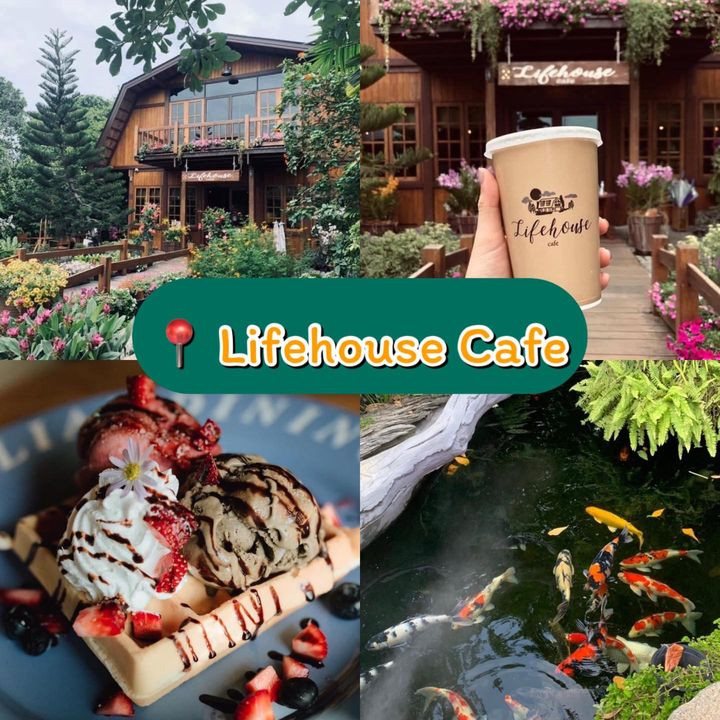 Lifehouse Cafe