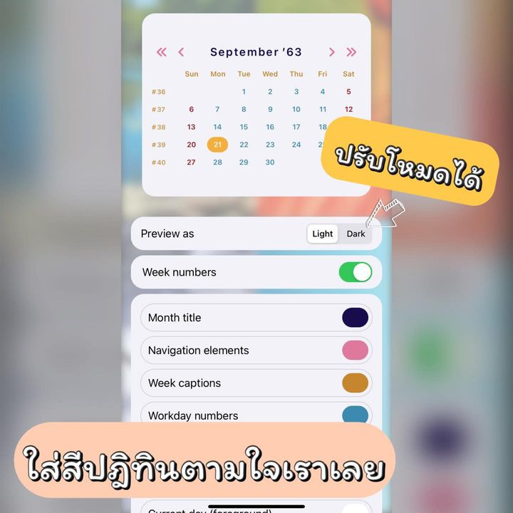 ตั้งค่าสี