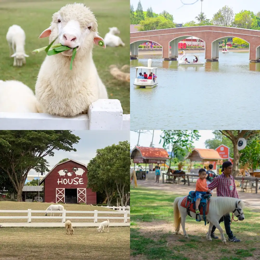 Family Park Pattaya