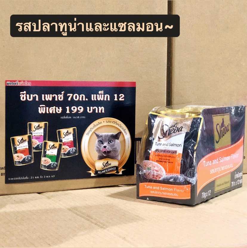 แซลมอน
