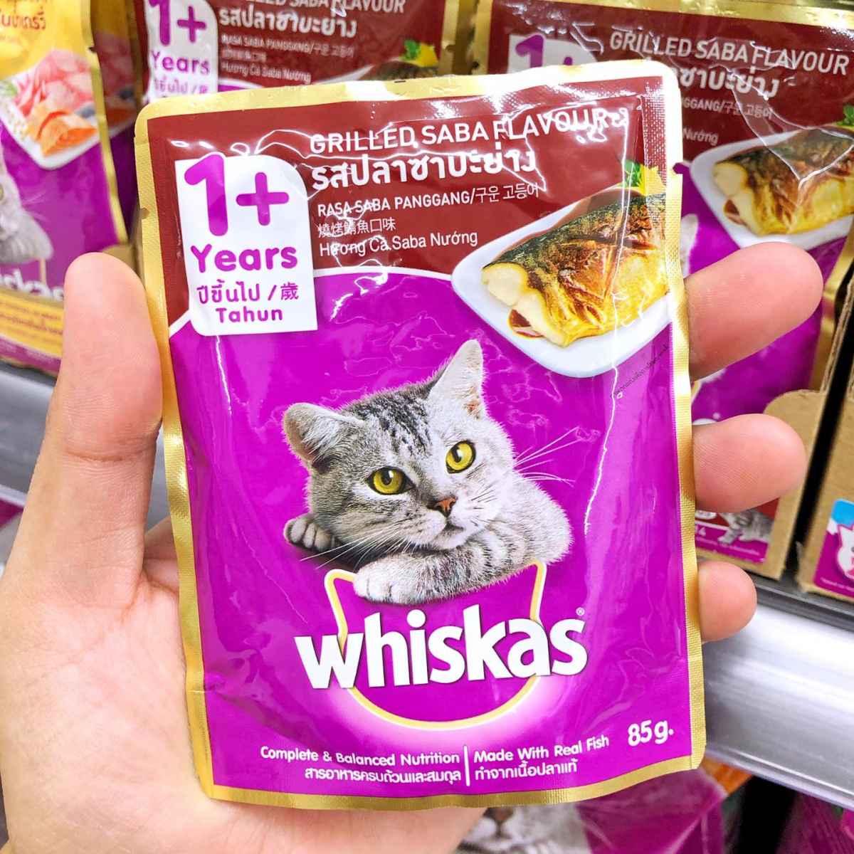 อาหารแมวเด็ก