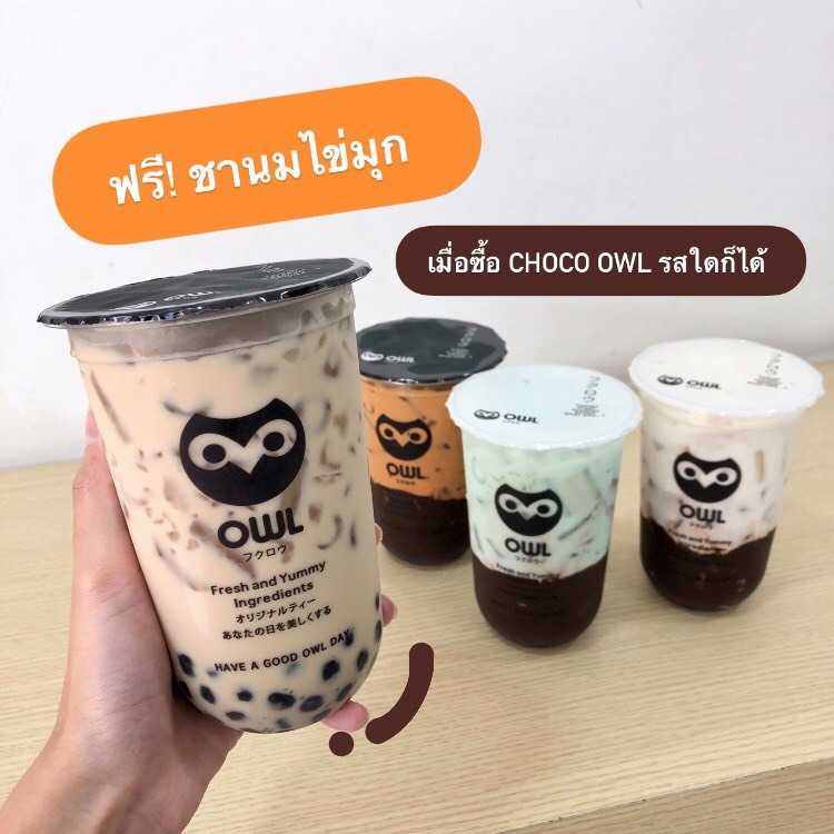 Owl Cha