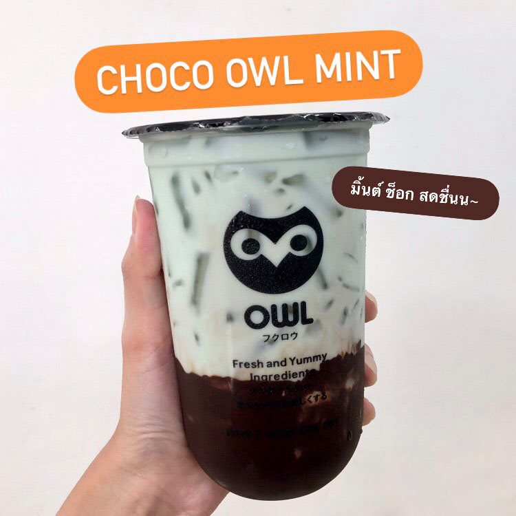 CHOCO OWL