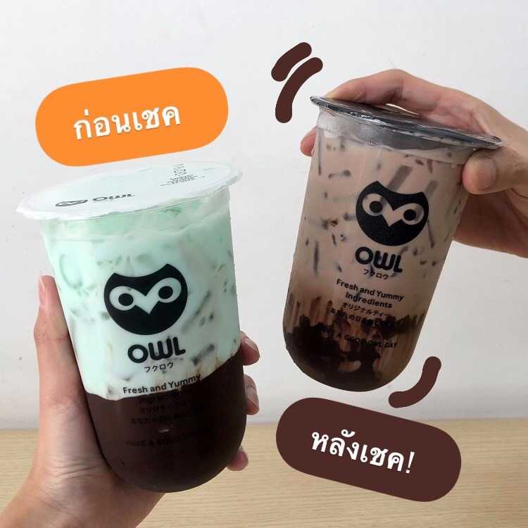 CHOCO OWL Mint