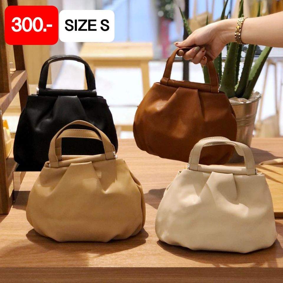 กระเป๋าหิ้ว