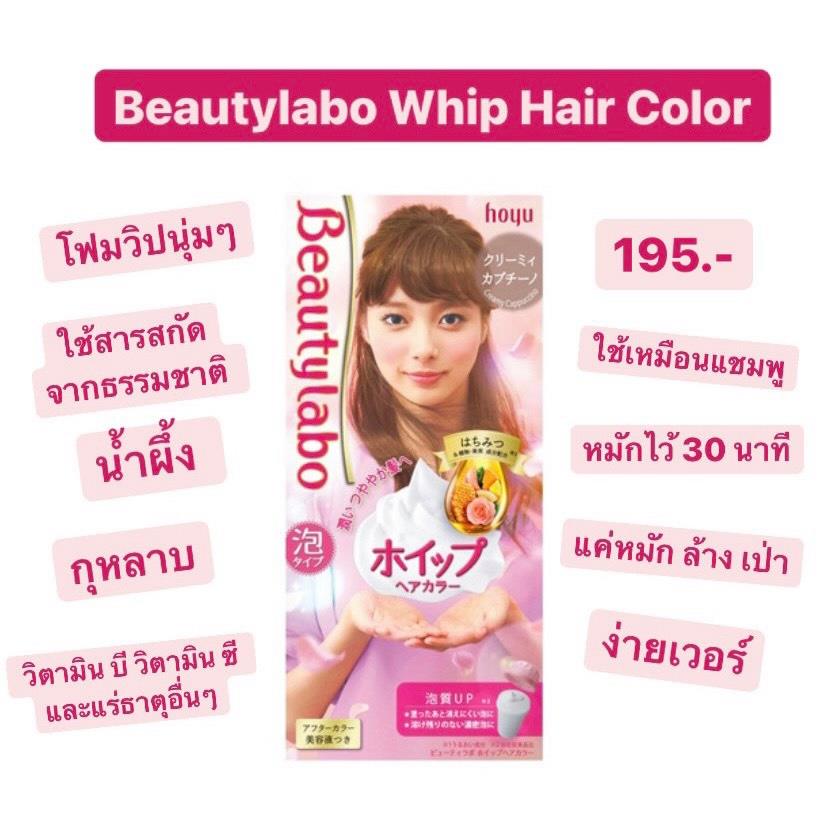 Beauty Whip Hair Color