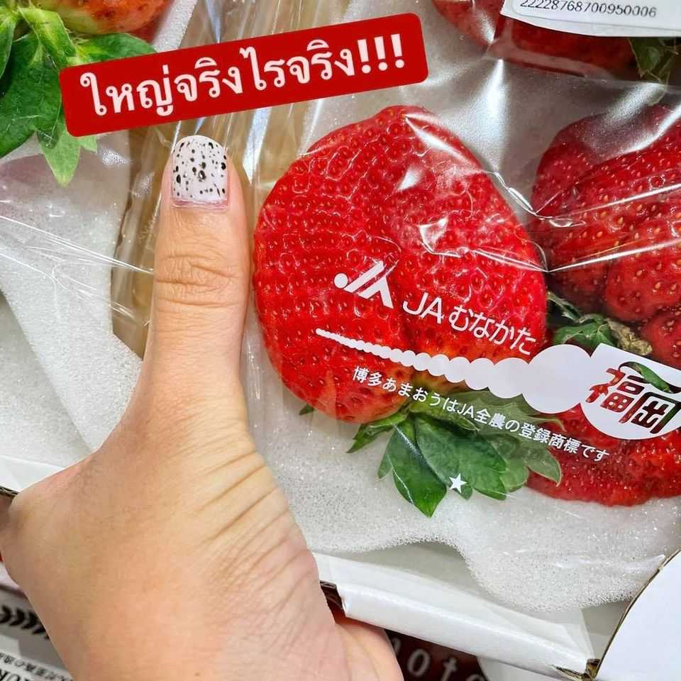 strawberry japanese gourmet market