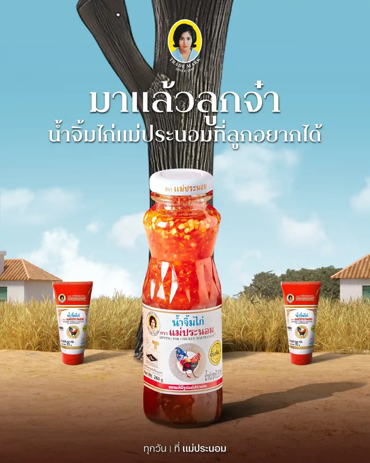 แม่ประนอม