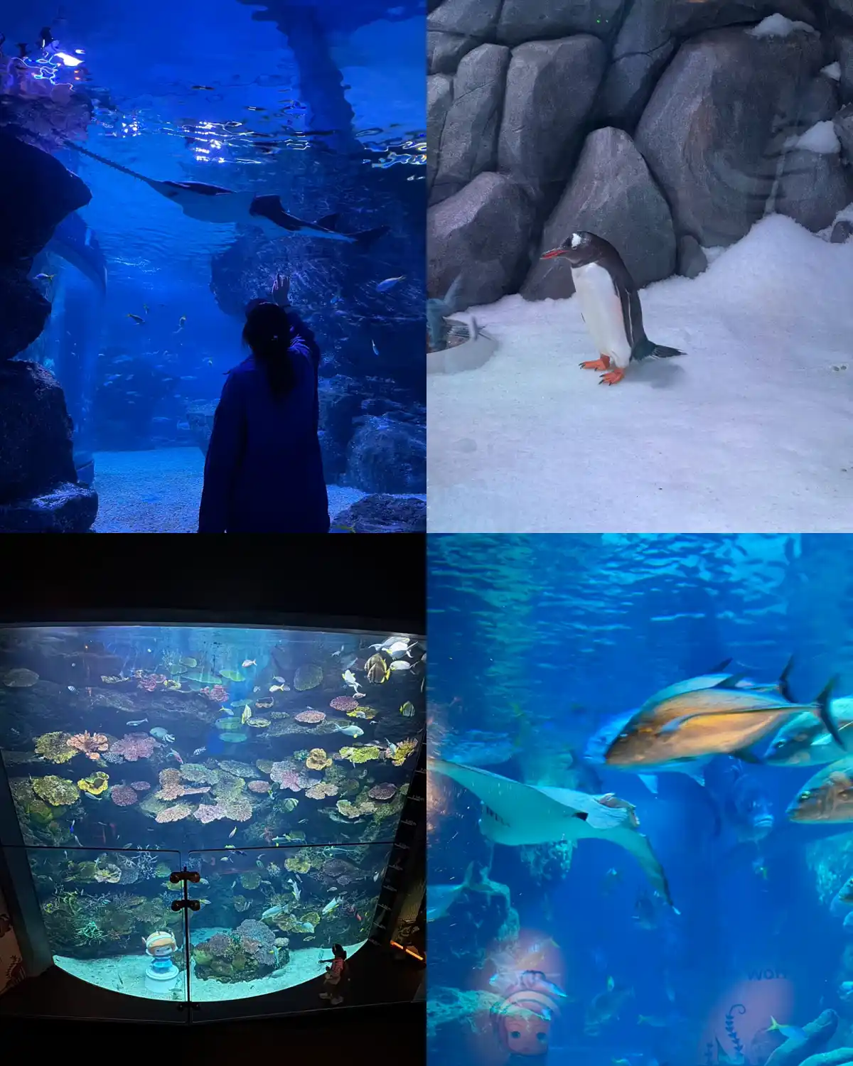 sea life bangkok