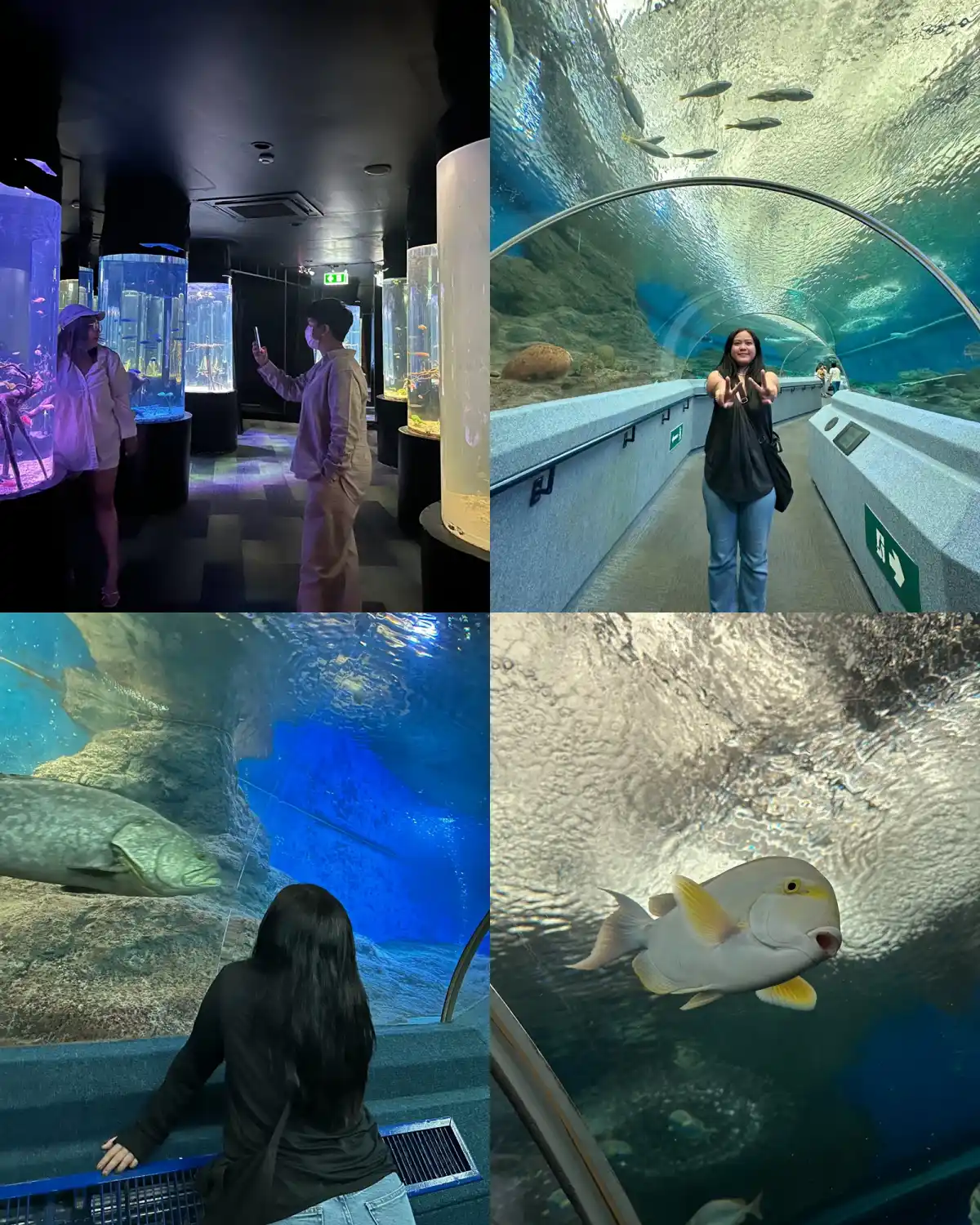 underwater world pattaya