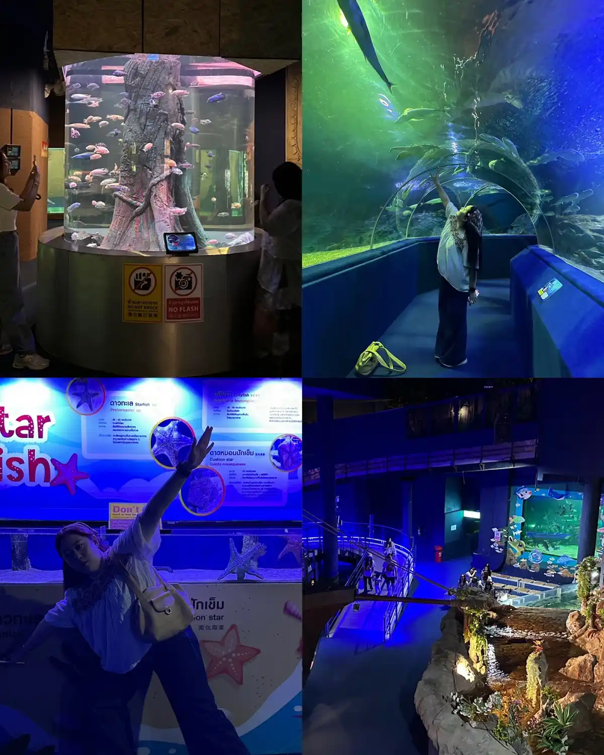 chiangmai zoo aquarium