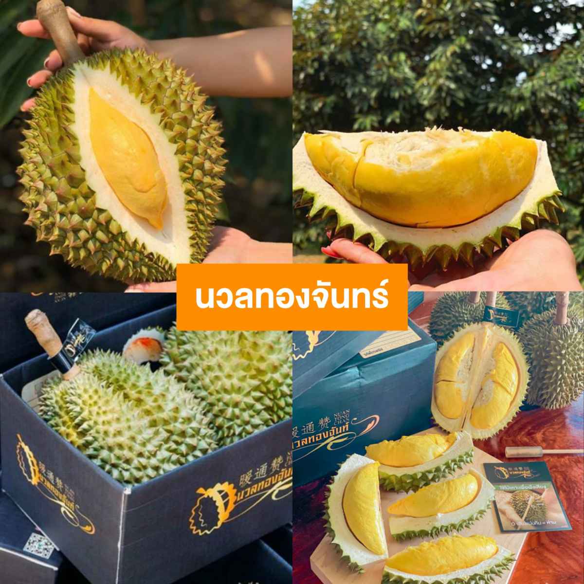 durian-delivery