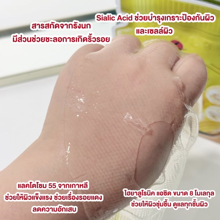 มาส์กรังนกสก๊อต