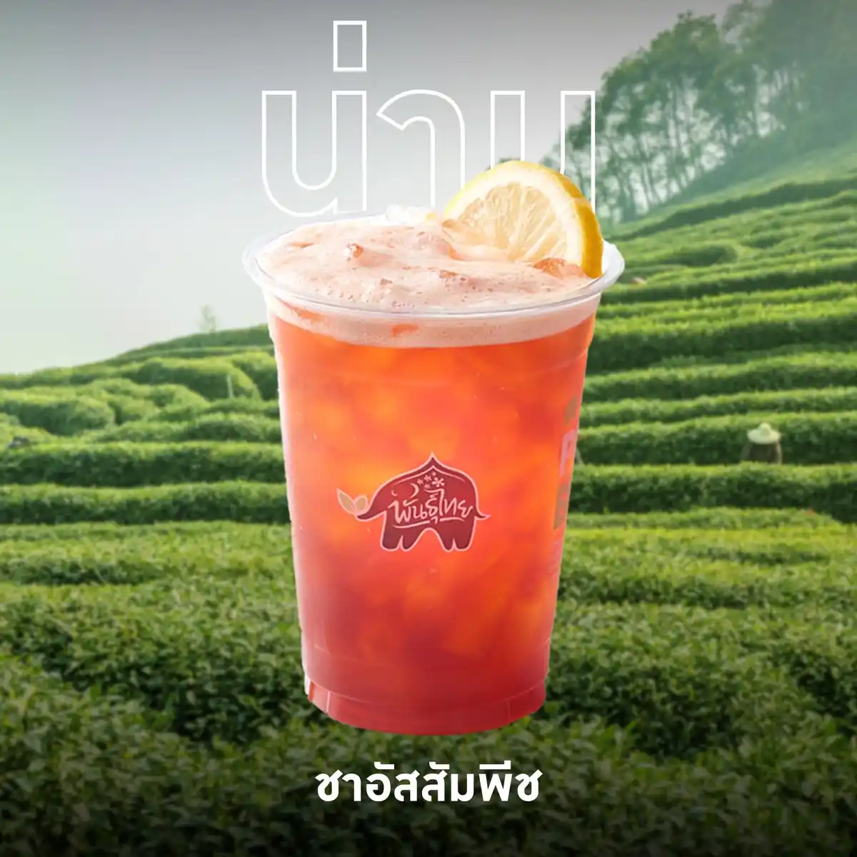 พันธุ์ไทย