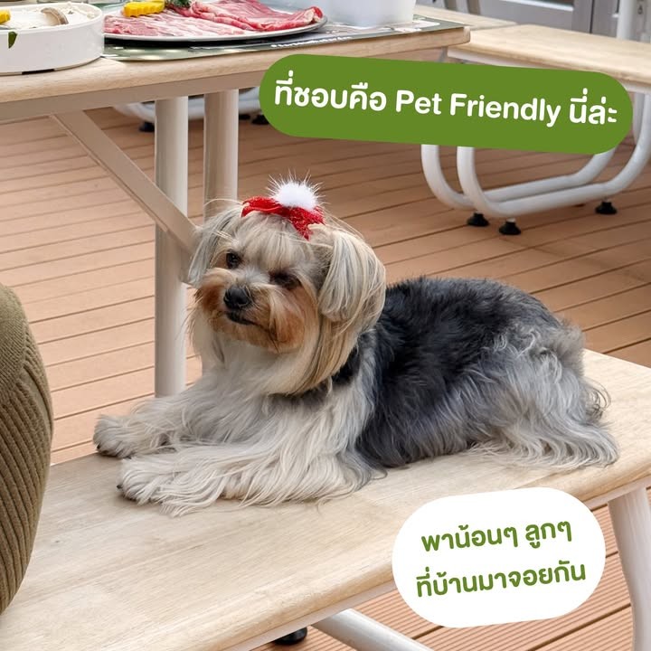 Bar B Q Plaza ในสวน