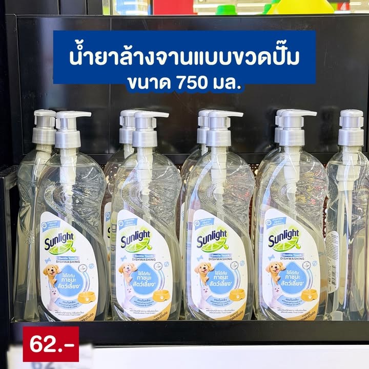 ซันไลต์
