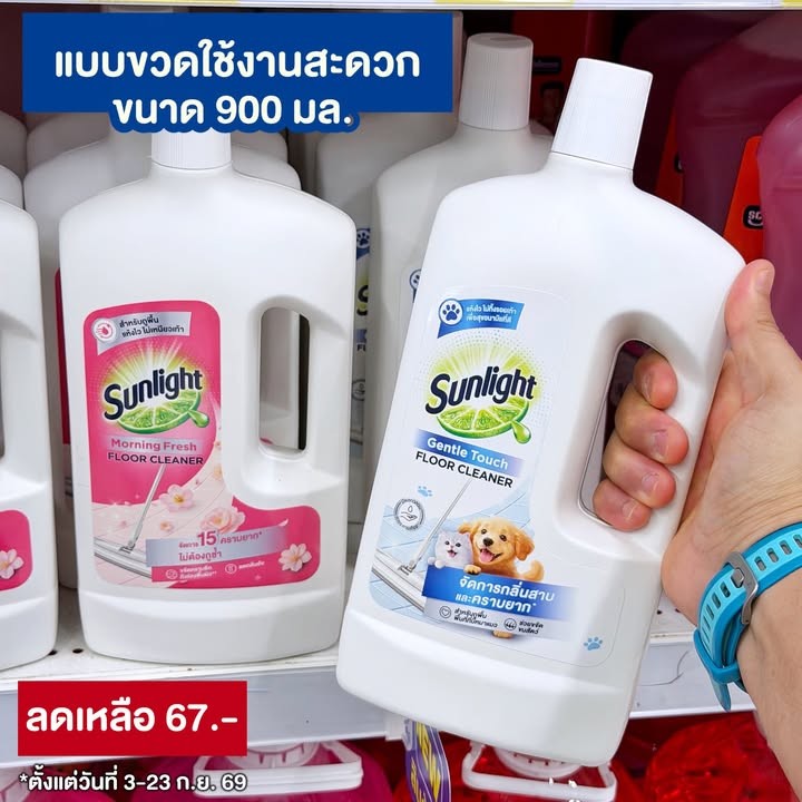 ซันไลต์