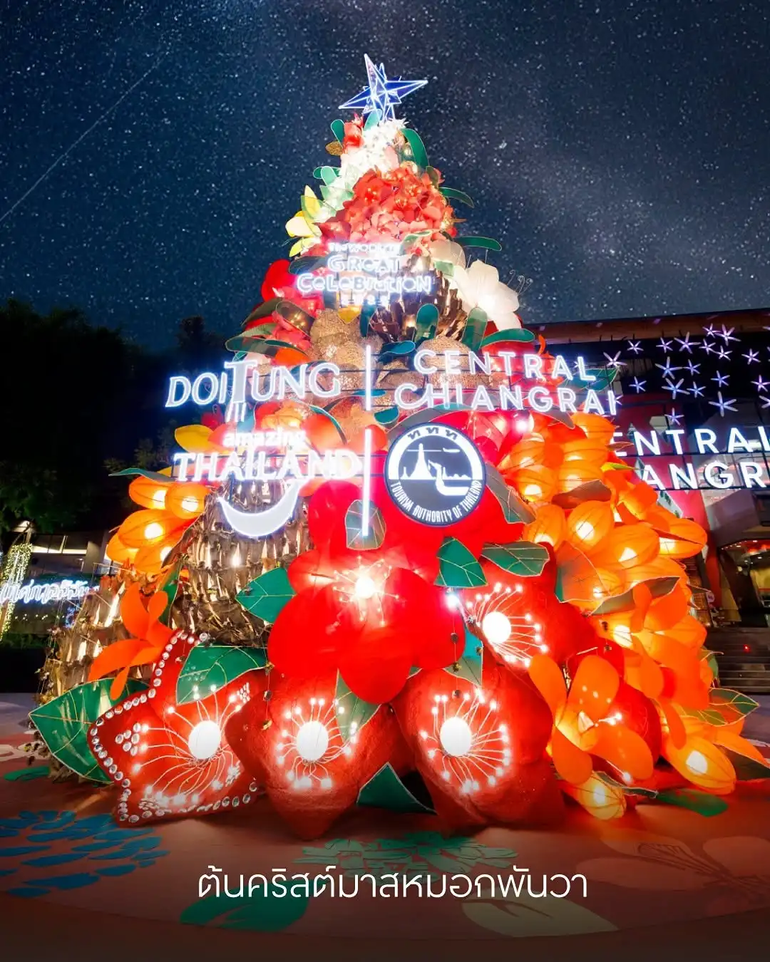 ต้นคริสต์มาส central