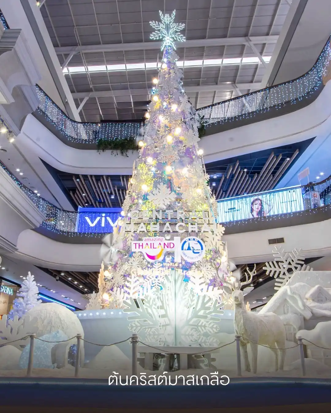 ต้นคริสต์มาส central