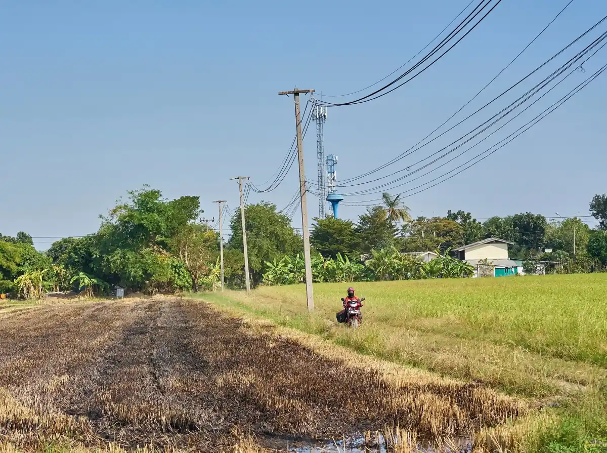 ไปรษณีย์ไทย