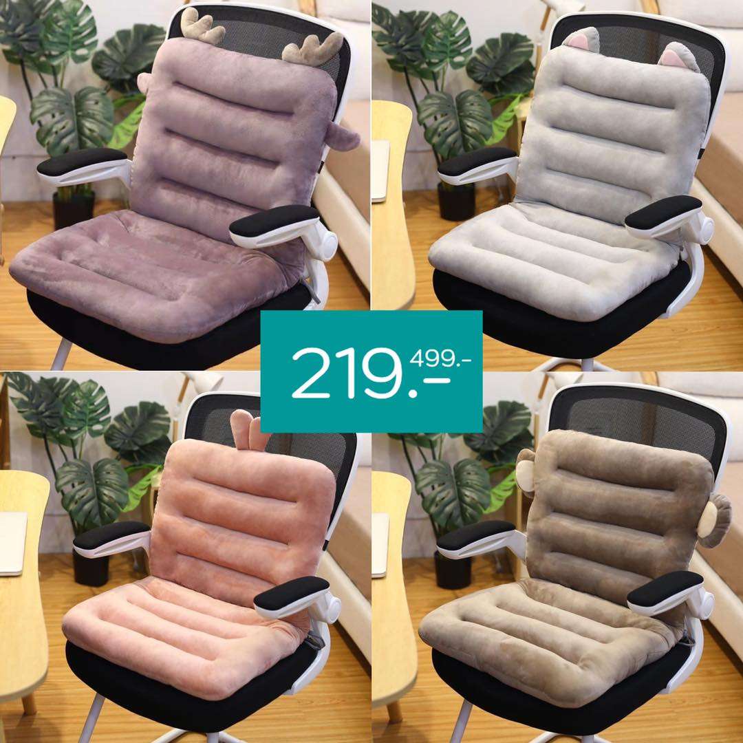 seat-cushion