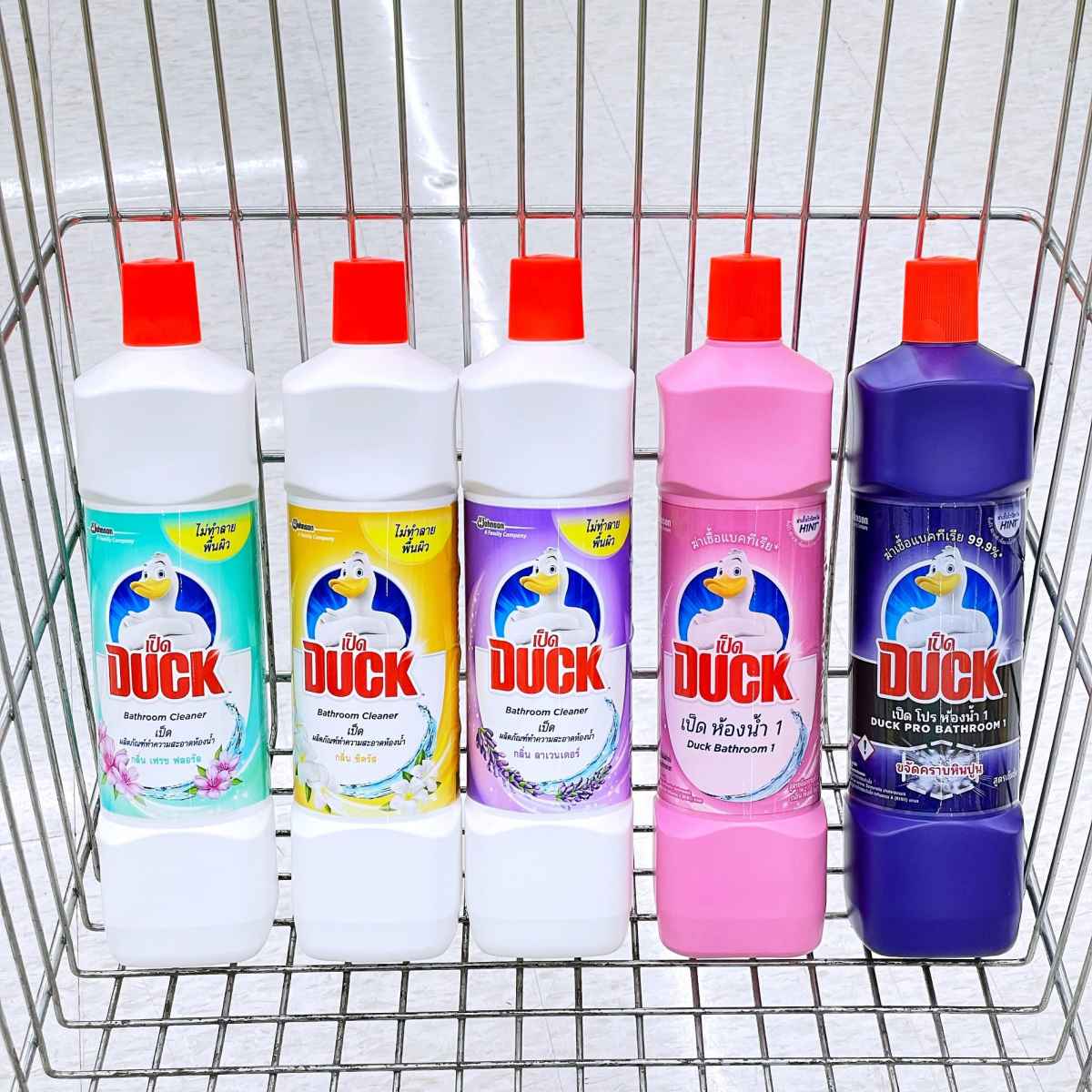duck-bathroom-cleaner