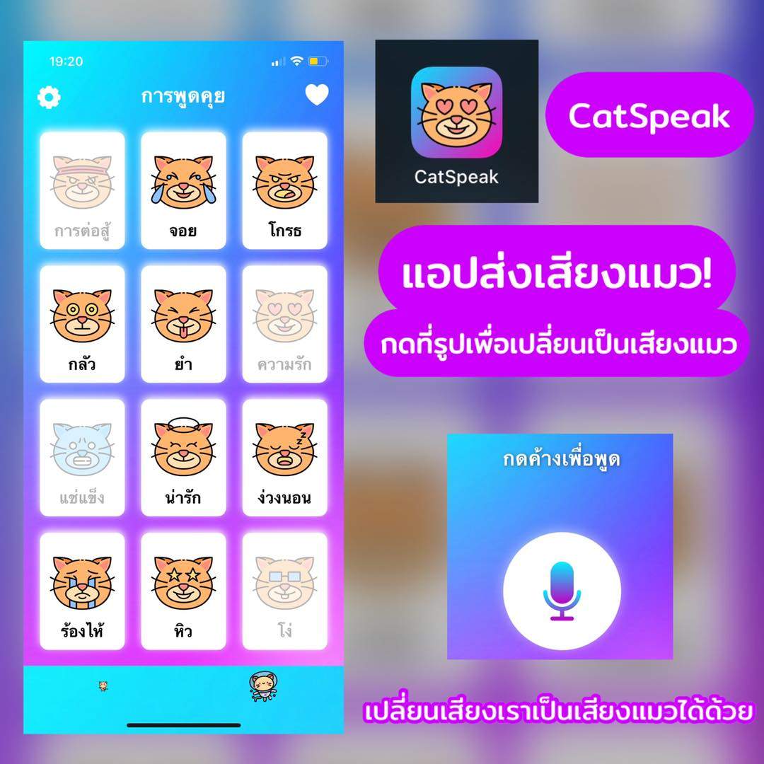 รวม 6 แอปแปลภาษาแมว