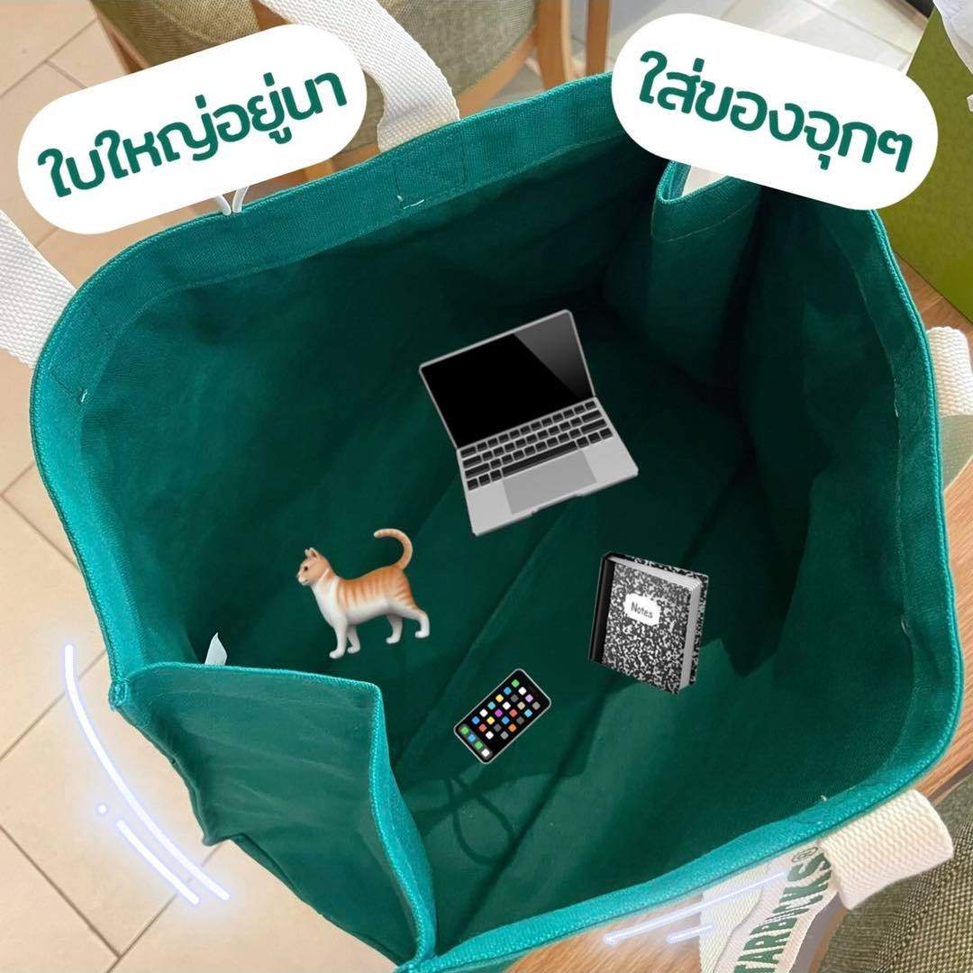 กระเป๋าผ้า