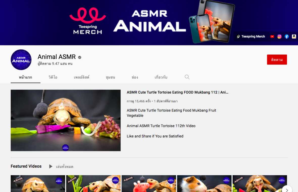 Animal ASMR
