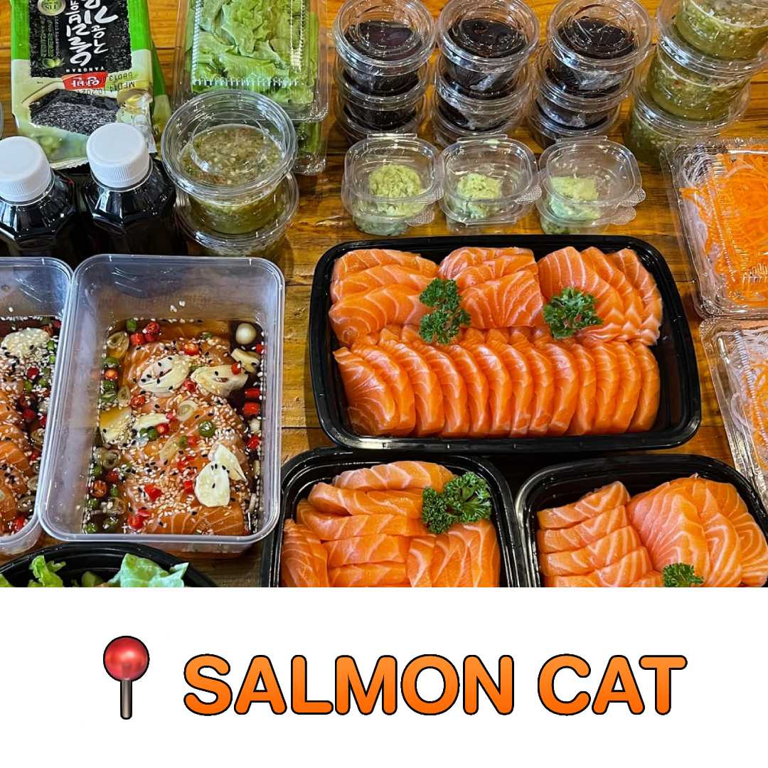 Salmon Cat