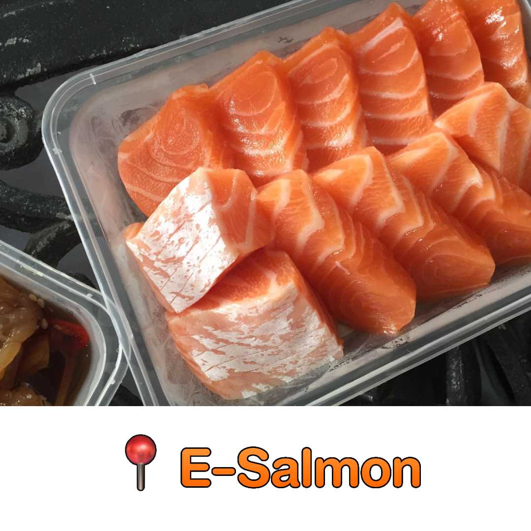 E-Salmon