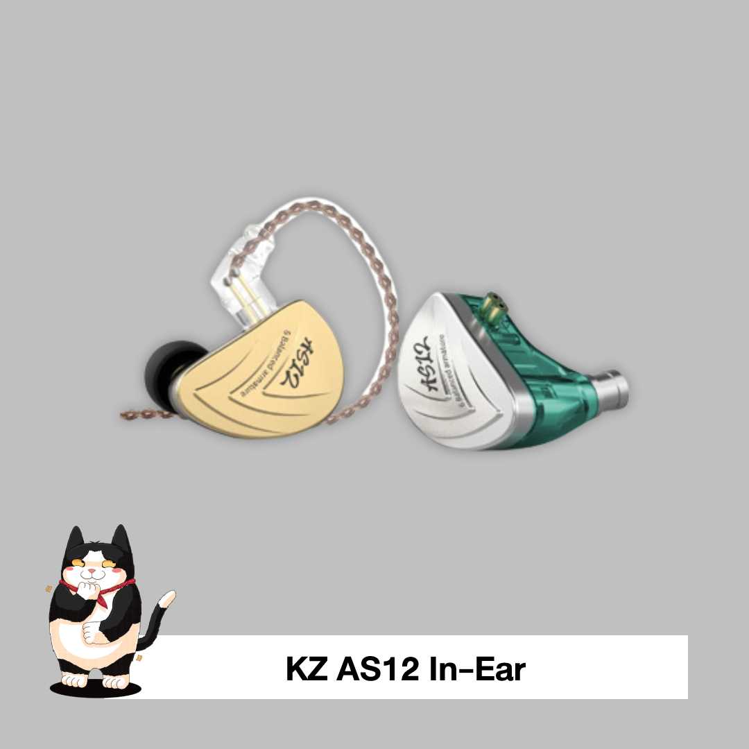 KZ AS12 in-ear