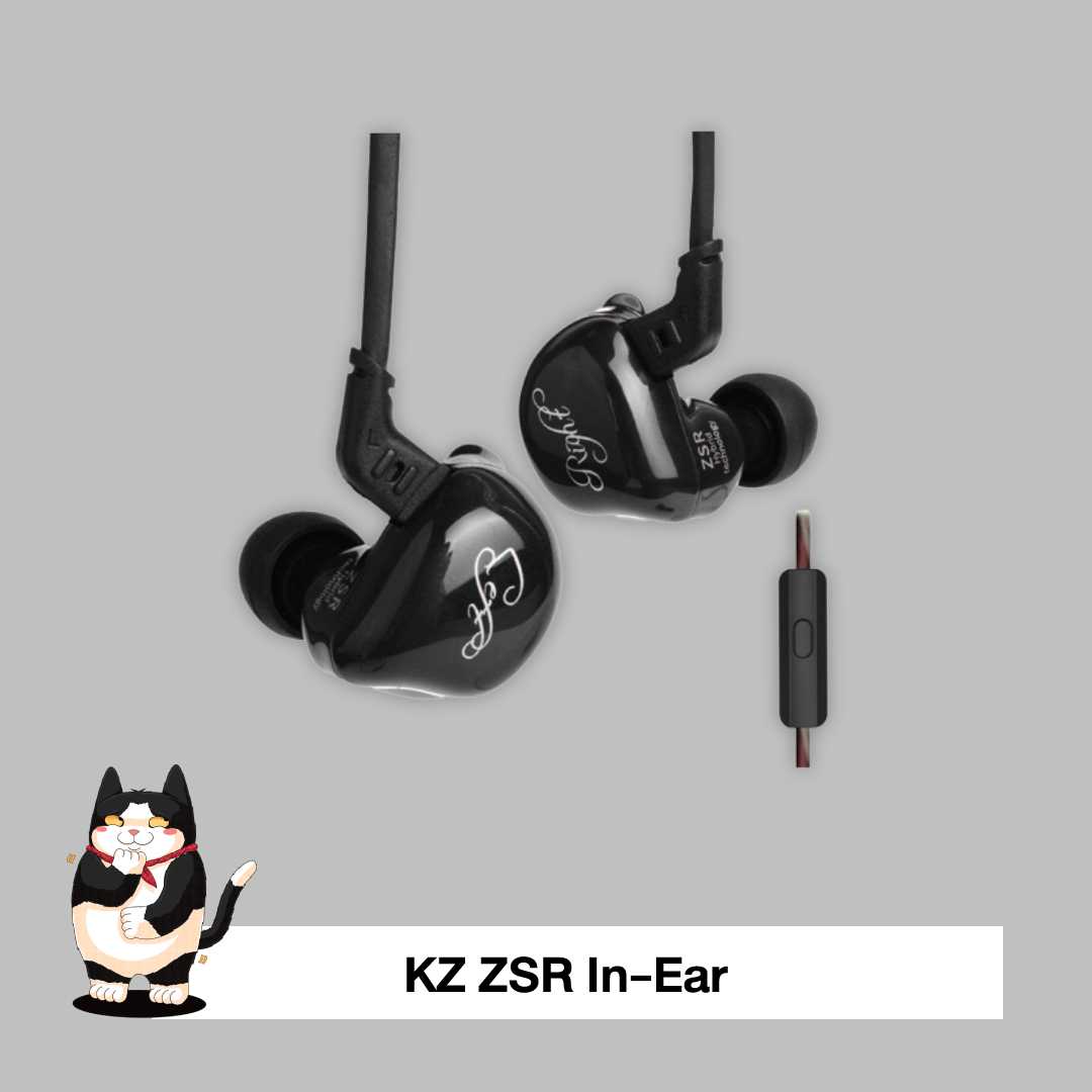 KZ ZSR in-ear