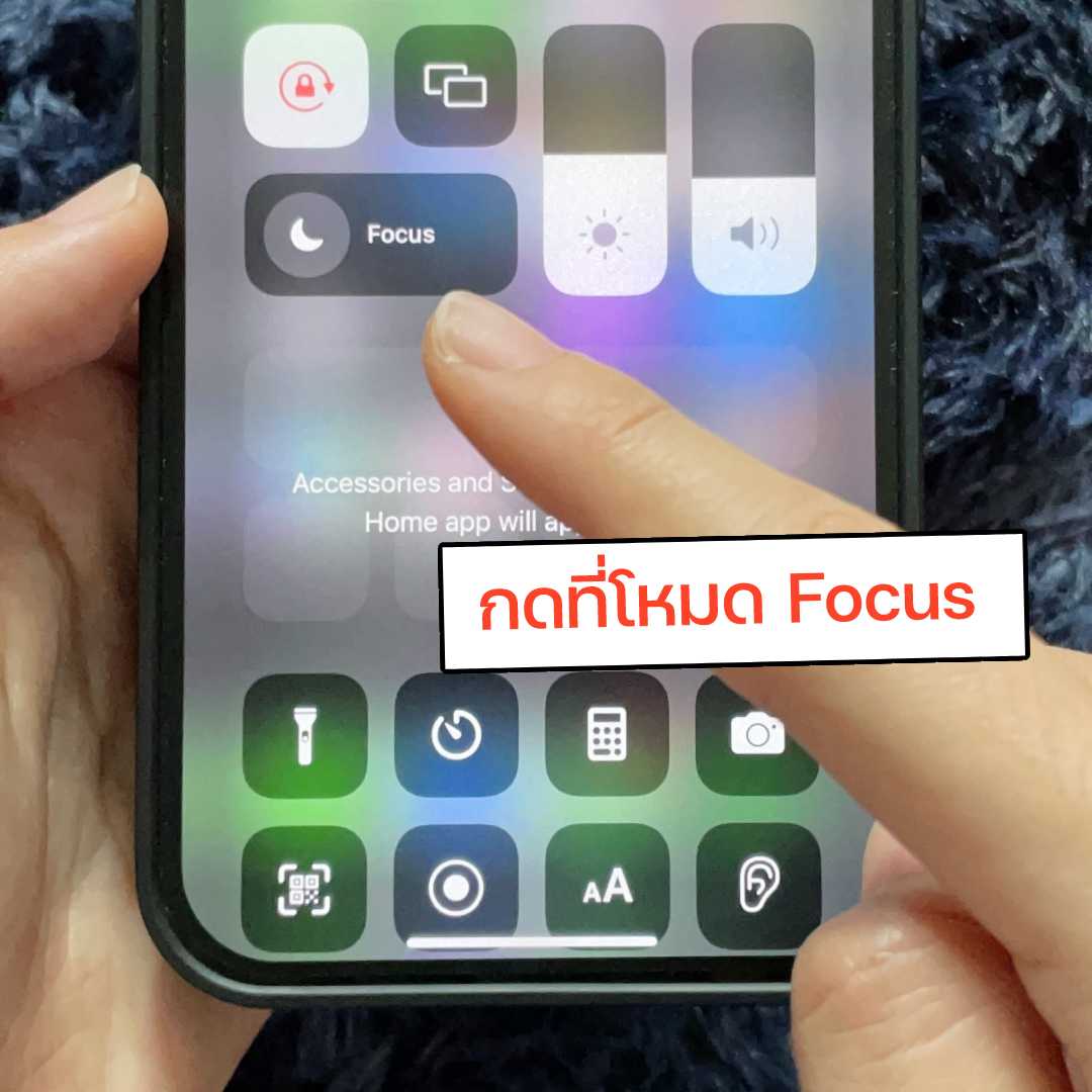 Focus 01