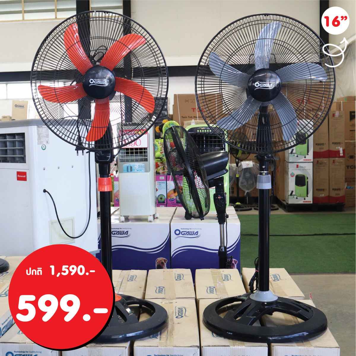 FAN