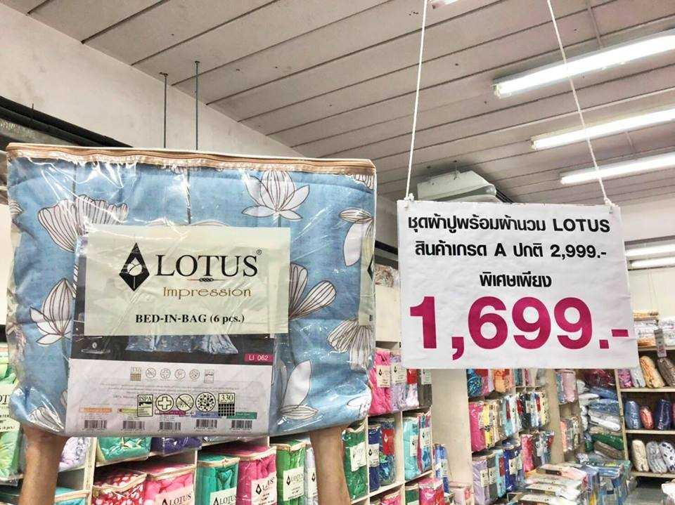 Lotus