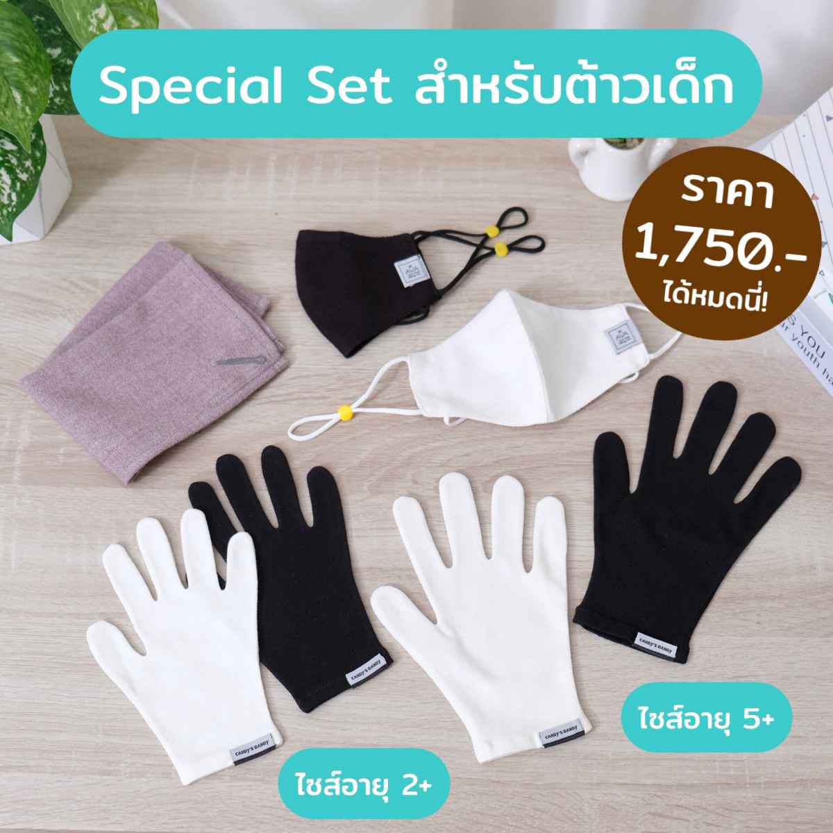 อุปกรณ์ทำความสะอาด