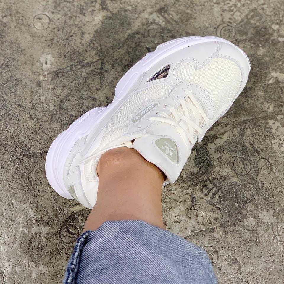Adidas Falcon