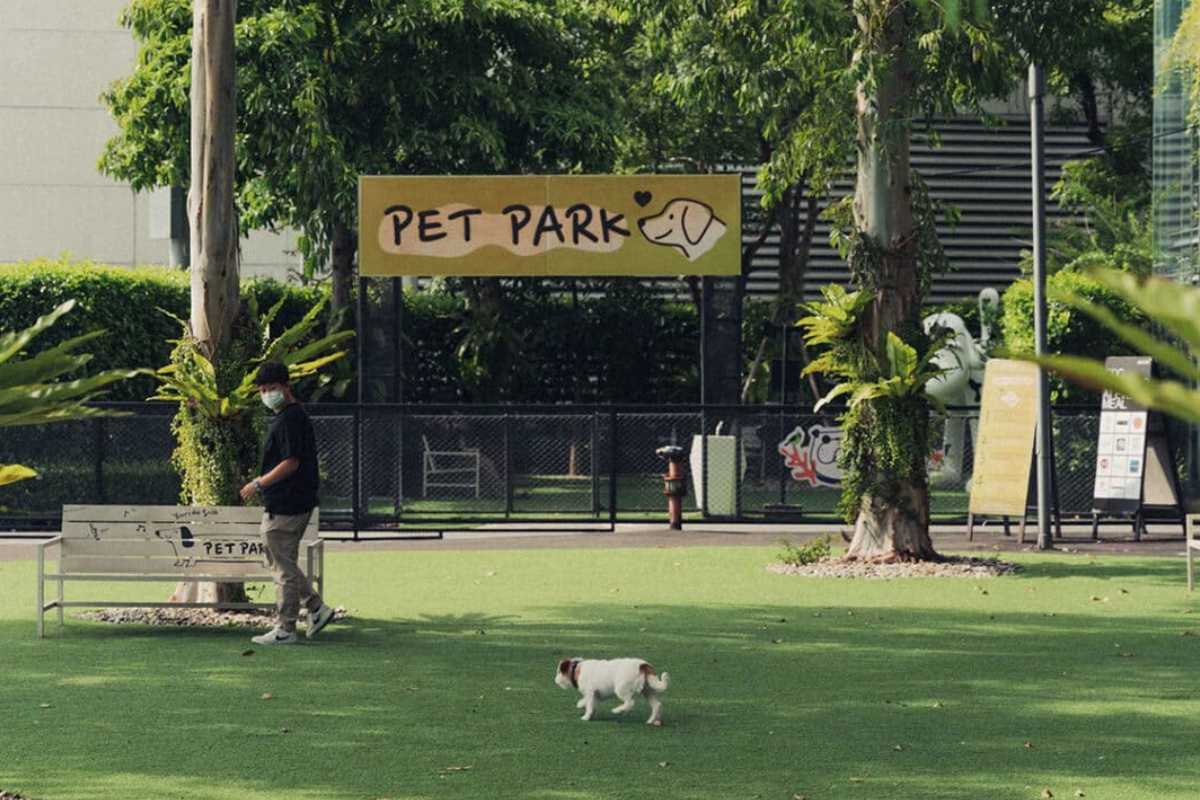 สวน Pet Park