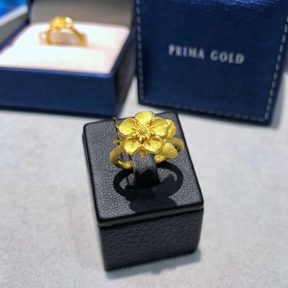 PRIMA