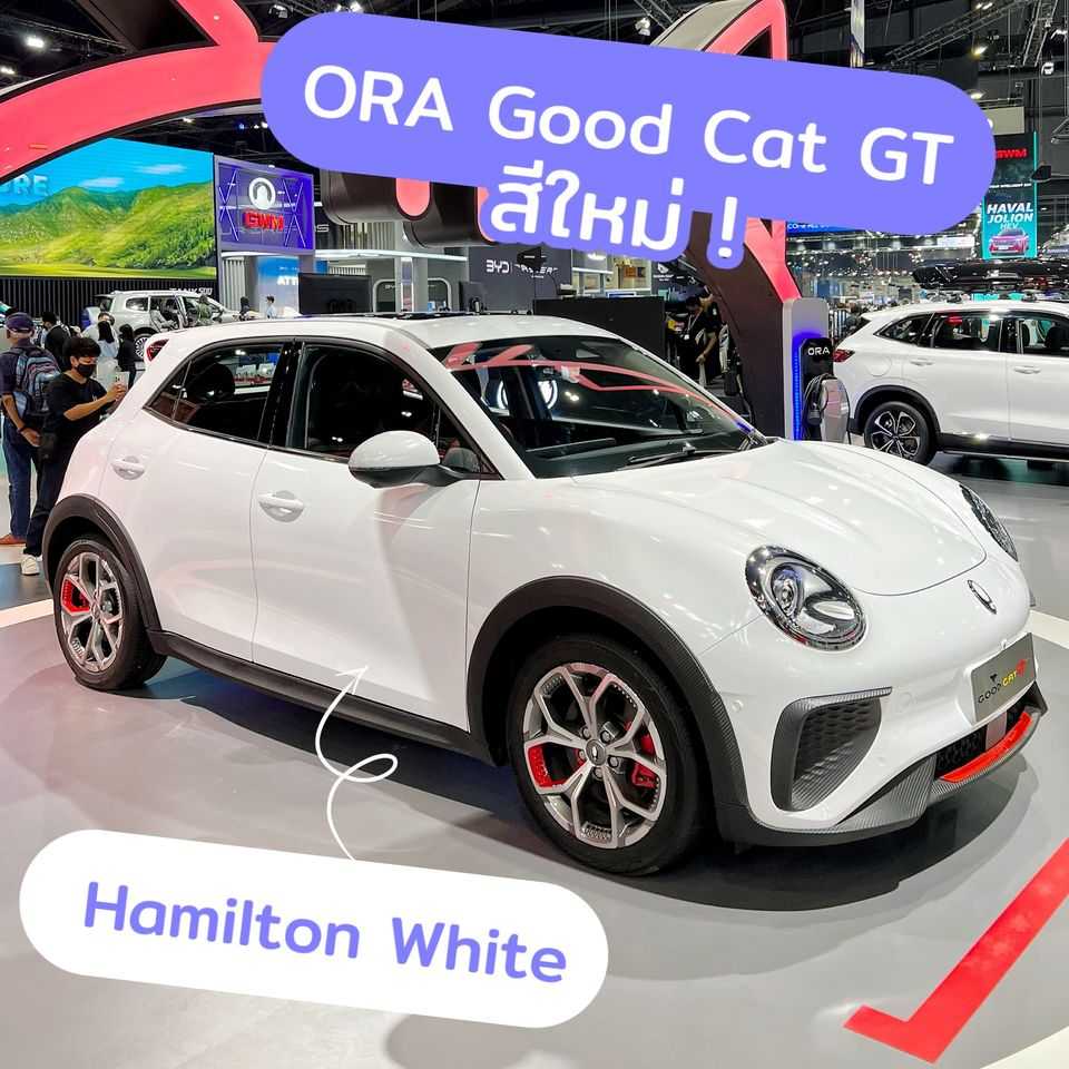ORA-Good-Cat-1