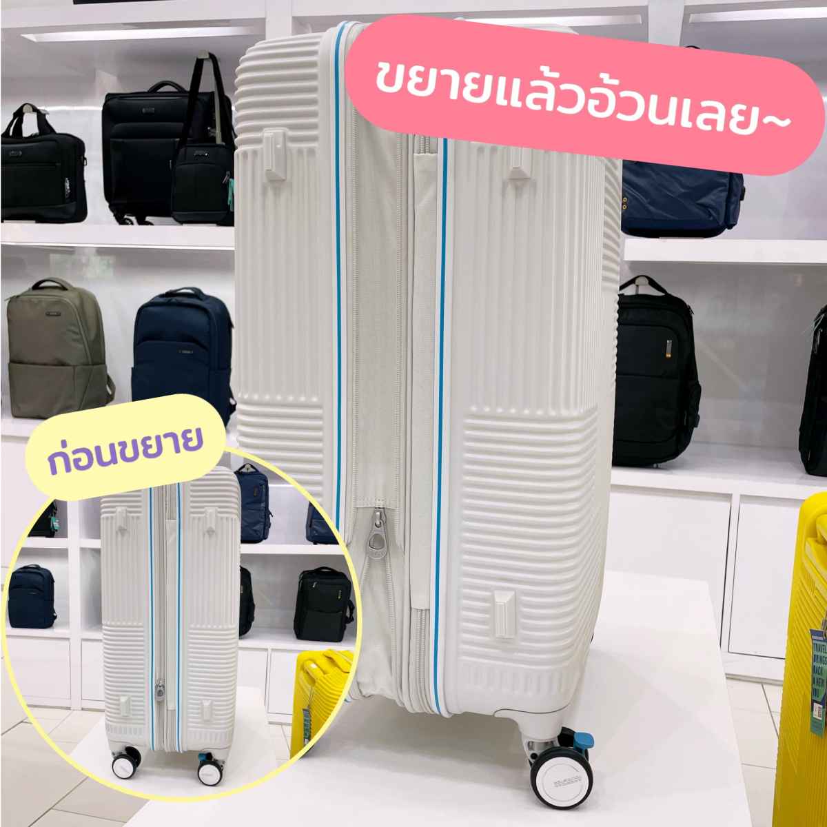 American Tourister 15