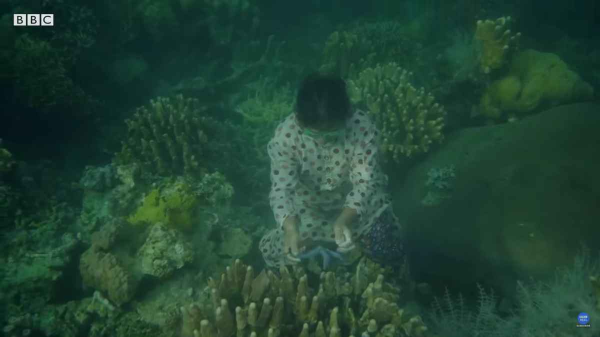 ซามาบาจาว9