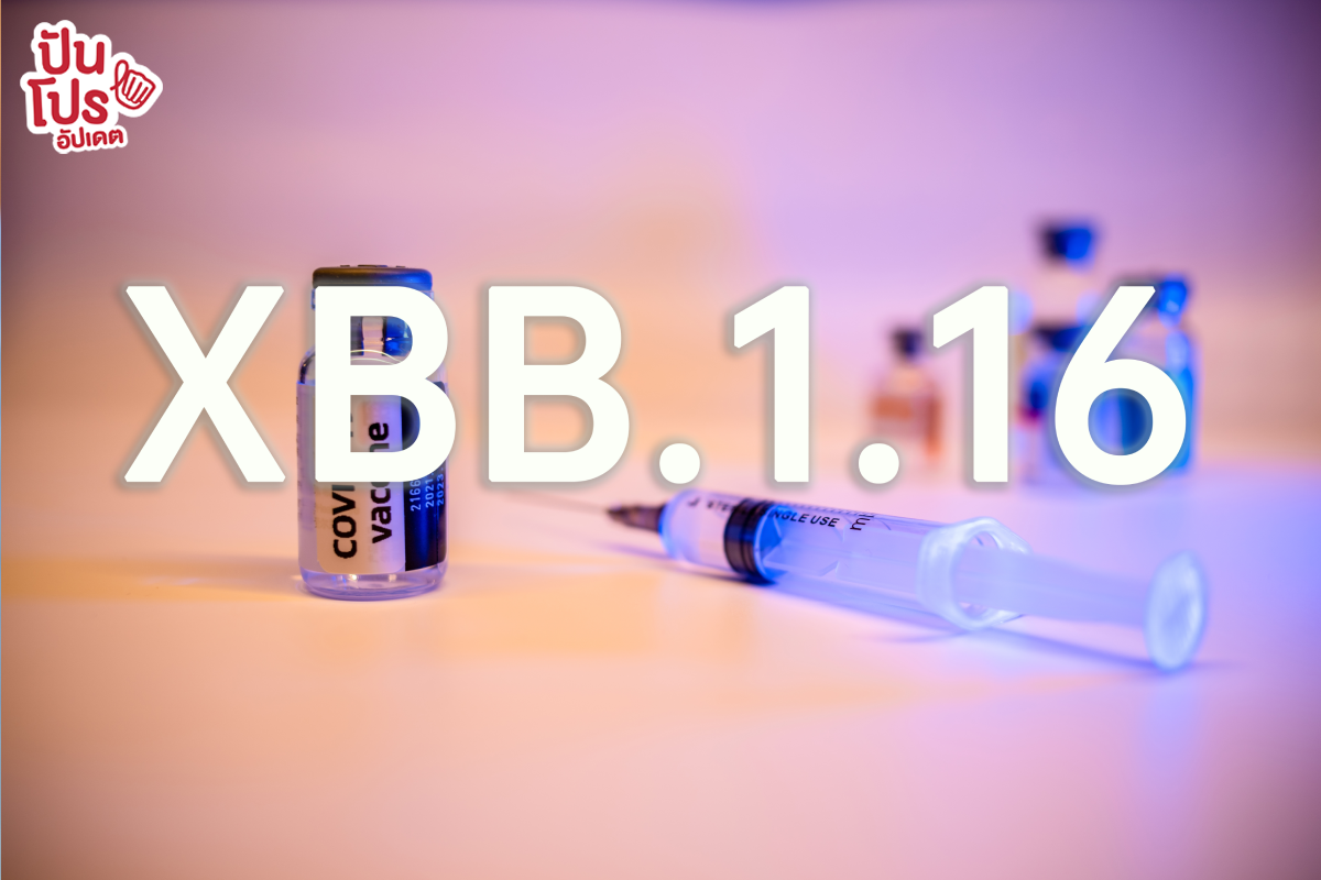 XBB.1.16