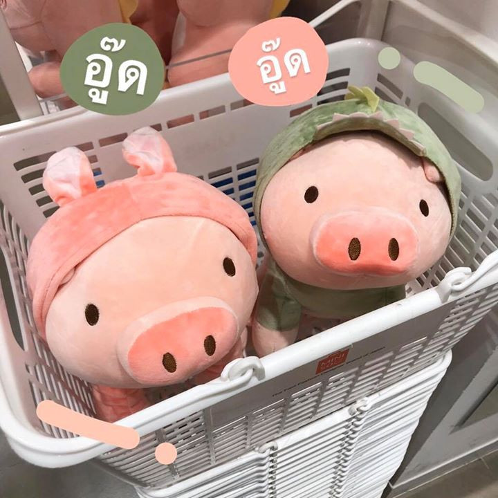 miniso