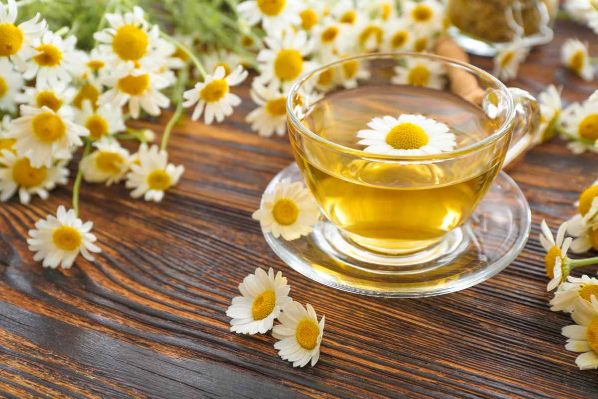 camomile tea