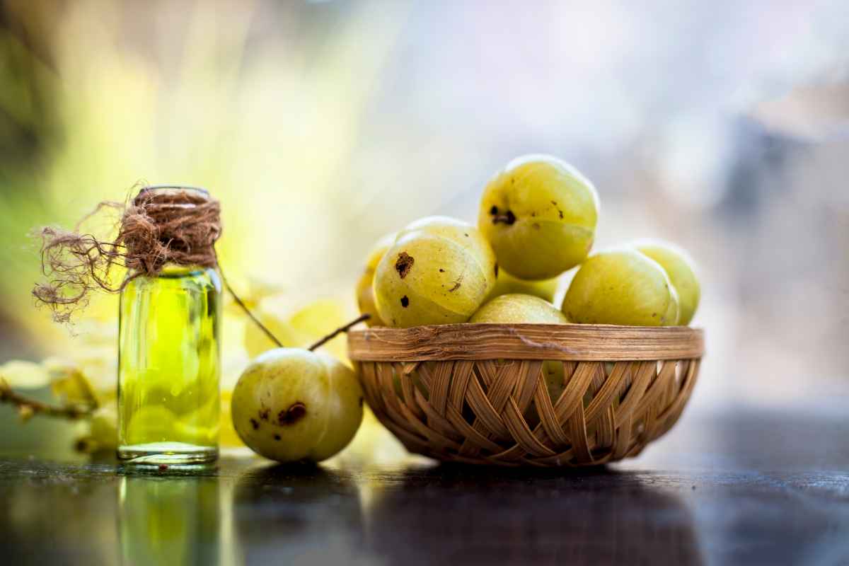 indian Gooseberry