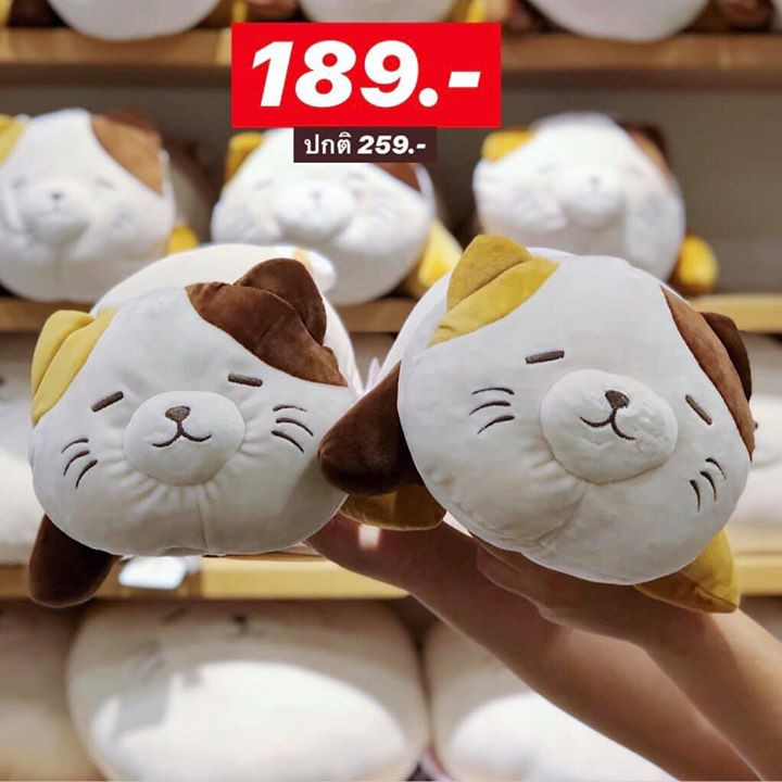 Miniso 10