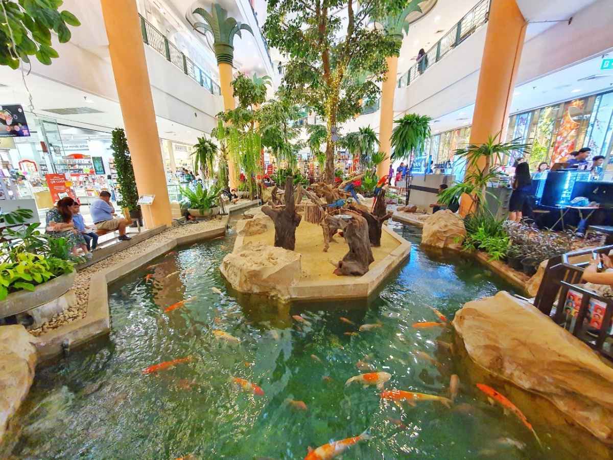 The Mall Bangkae 15